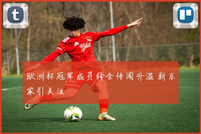 欧洲杯冠军成员转会传闻升温 新东家引关注