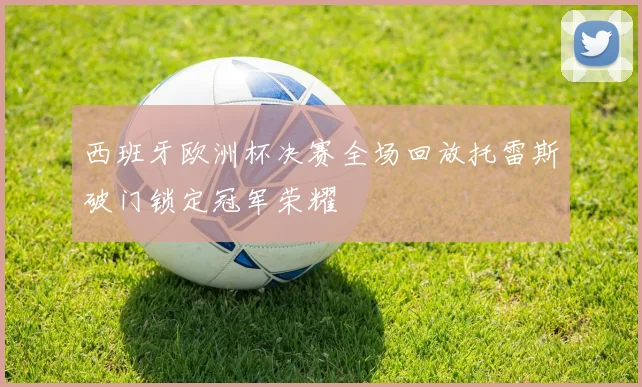 西班牙欧洲杯决赛全场回放托雷斯破门锁定冠军荣耀