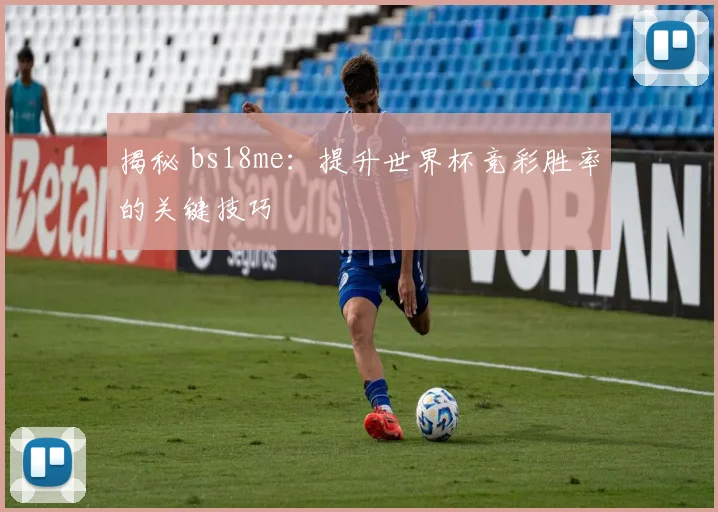 揭秘 bs18me:提升世界杯竞彩胜率的关键技巧