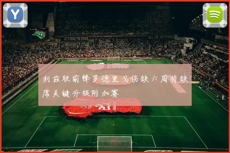 利兹联前锋罗德里戈伤缺六周将缺席关键升级附加赛
