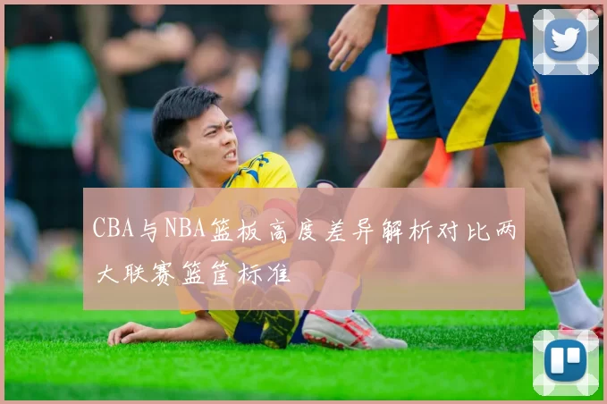 CBA与NBA篮板高度差异解析对比两大联赛篮筐标准