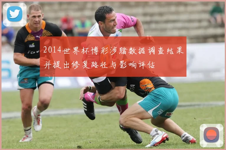 2014世界杯博彩涉赌数据调查结果并提出修复路径与影响评估