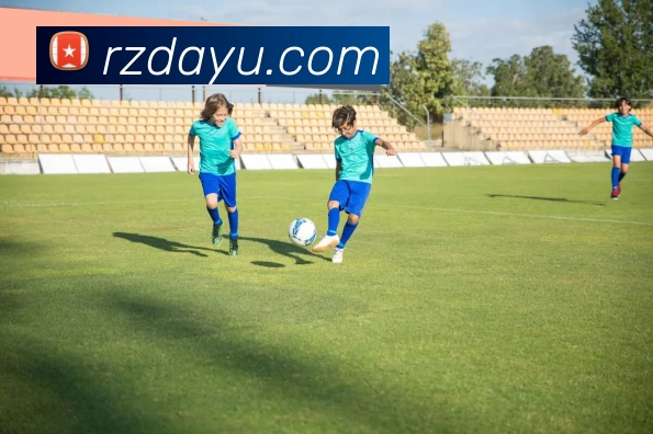 乐鱼官方端网站登录入口 - 乐鱼leyu(中国)平台生态图